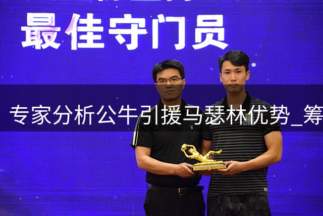 专家分析公牛引援马瑟林优势 筹码方案曝光